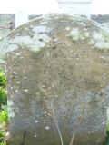 image of grave number 571445